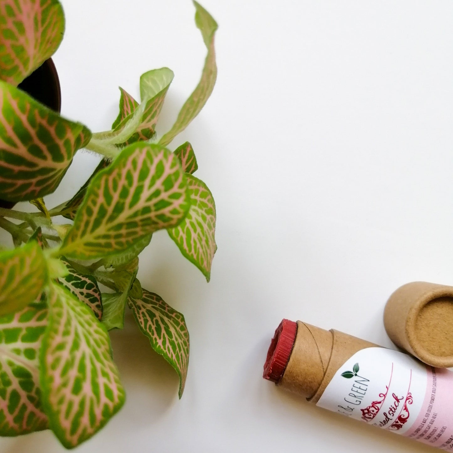 Tinted Lip Balm