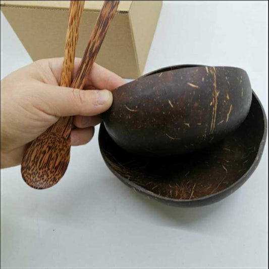 Organic Coconut Bowl with Spoon (Set of 2)